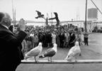 The Birds (1963) - on location - Photograph of Alfred Hitchcock (''The Birds'').