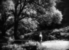 THE FARMER'S WIFE (1928) - FRAME - Film frame from ''The Farmer's Wife''.