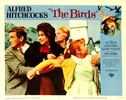 THE BIRDS (1963) - LOBBY CARD - Lobby card for ''The Birds''.