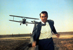 North by Northwest (1959) - photograph - Publicity shot of Cary Grant in ''North by Northwest''.