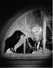 THE BIRDS (1963) - PHOTOGRAPH - Publicity photograph for ''The Birds''.