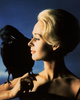 THE BIRDS (1963) - PHOTOGRAPH - Publicity photograph for ''The Birds''.