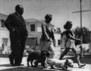 Alfred Hitchcock and family (1939) - Photograph of the Hitchcock family, walking their dogs (Edward IX and Mr Jenkins) in Los Angeles in 1939.