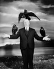 The Birds (1963) - photograph - Publicity photograph for ''The Birds'' taken by photographer Philippe Halsman.
