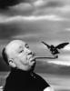 THE BIRDS (1963) - PHOTOGRAPH - Publicity photograph for ''The Birds'' taken by photographer Philippe Halsman.