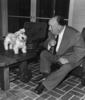 photograph - Photograph of Alfred Hitchcock and one of his Sealyham Terriers.