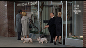 The Birds (1963) - film frame - Film frame from ''The Birds'' showing Hitchcock's cameo with his Sealyham Terriers.